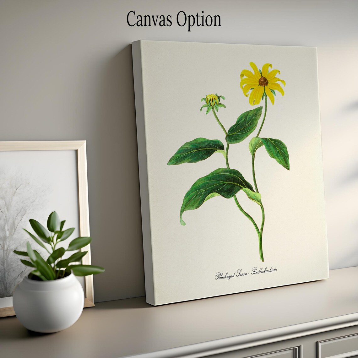 Black Eyed Susan Vintage Floral Wall Art Print - Image 2