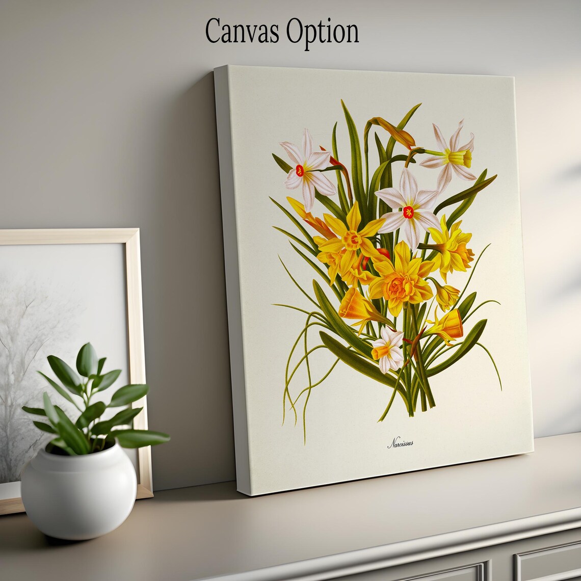 Narcissus Daffodil Botanical Floral Art Print - Image 2