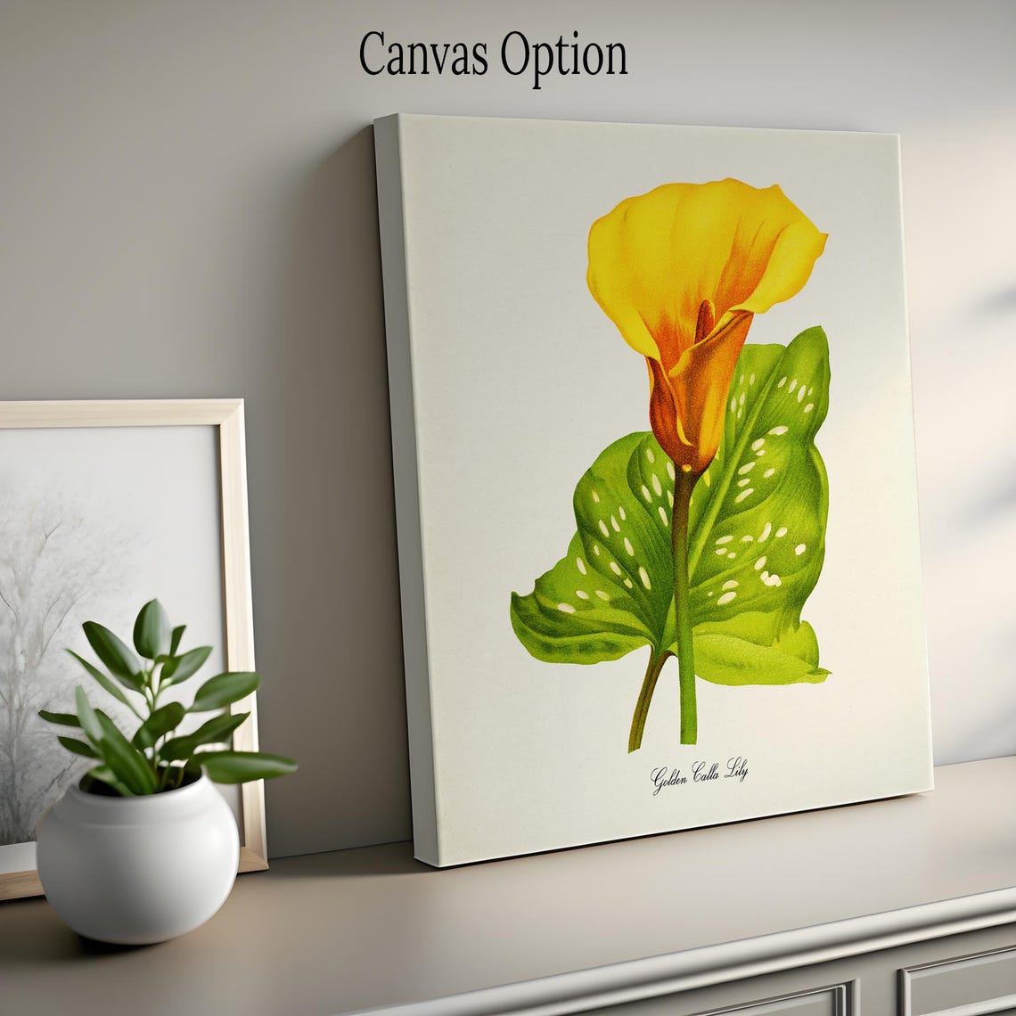 Golden Calla Lily Botanical Art Print - Image 2