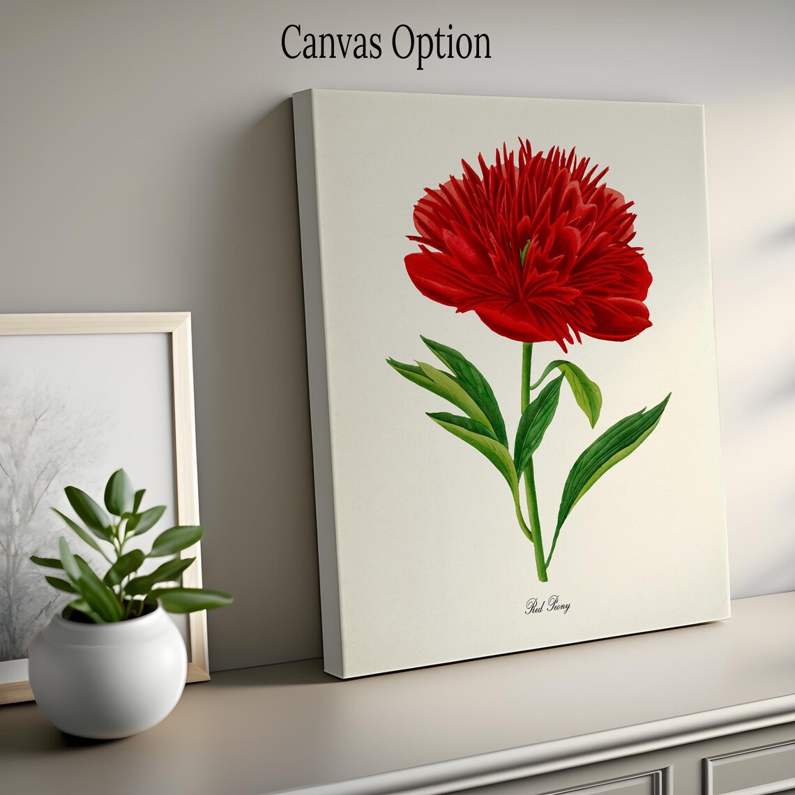 Red Peony Botanical Art Print, Floral Wall Art - Image 2
