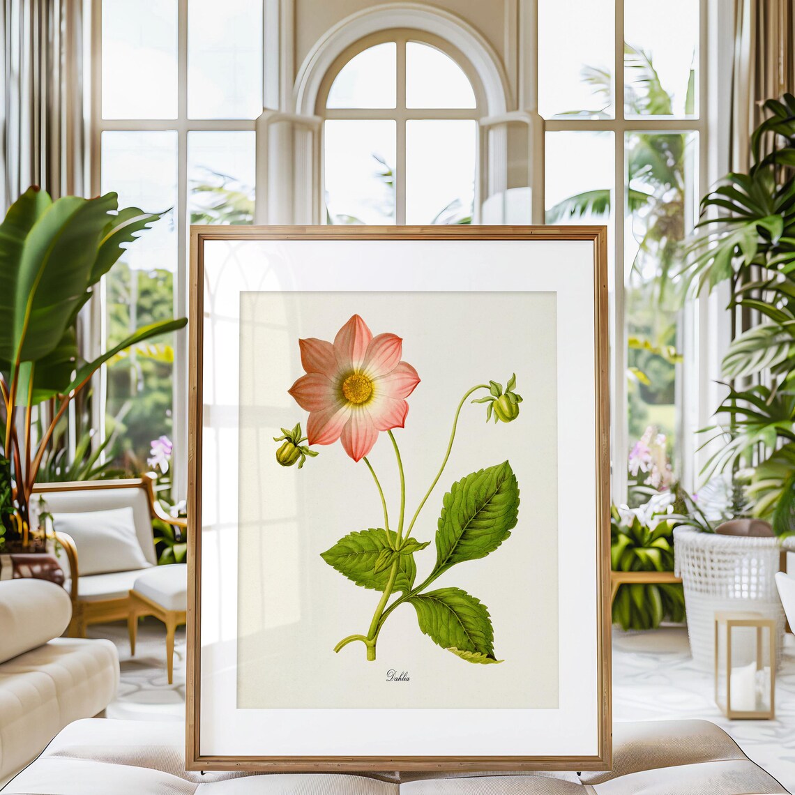 Dahlia Flower Botanical Art Print, Floral Wall Decor - Image 3