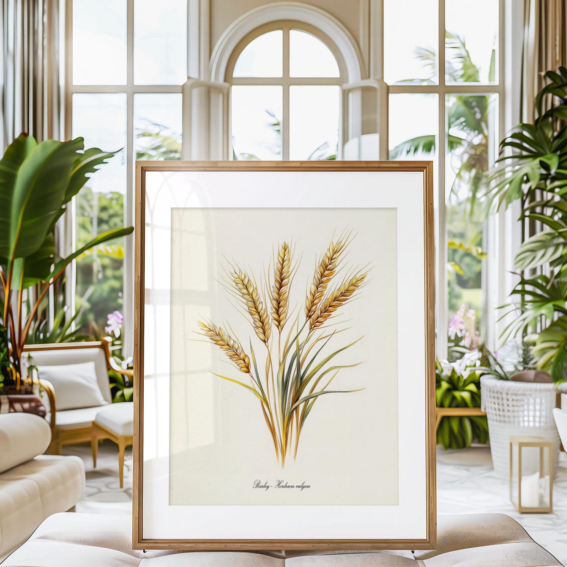 Golden Barley Hordeum Vulgare Wheat Ears Vintage Botanical Poster - Image 3