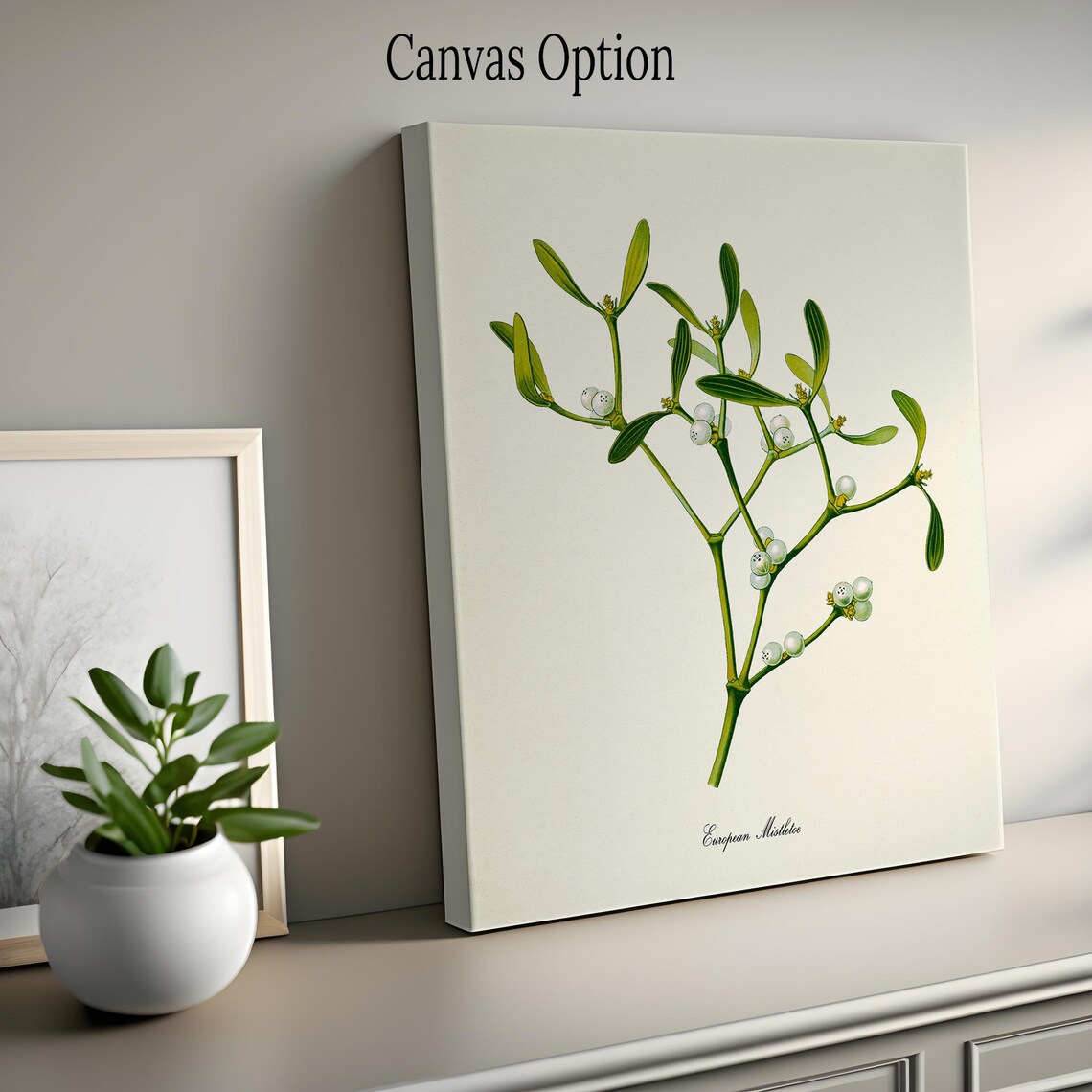 European Mistletoe Botanical Art Print, Wall Art - Image 2
