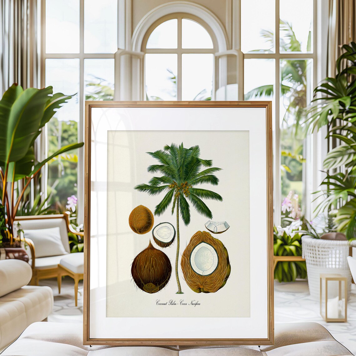 Coconut Palm Botanical Art Print, Tropical Plant - Image 3