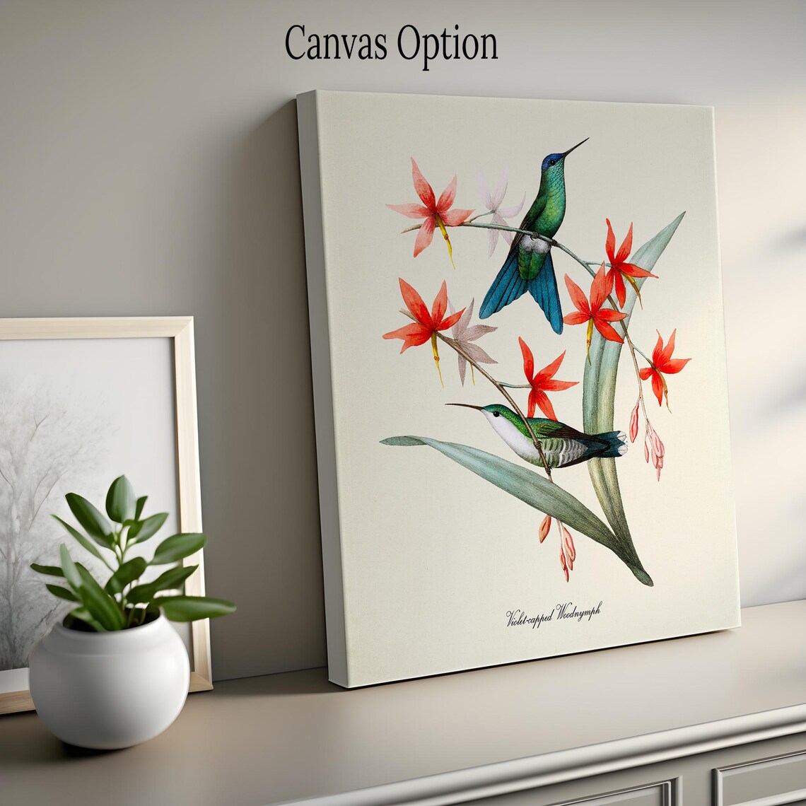 Violet Capped Woodnymph Hummingbird Art Print - Image 2