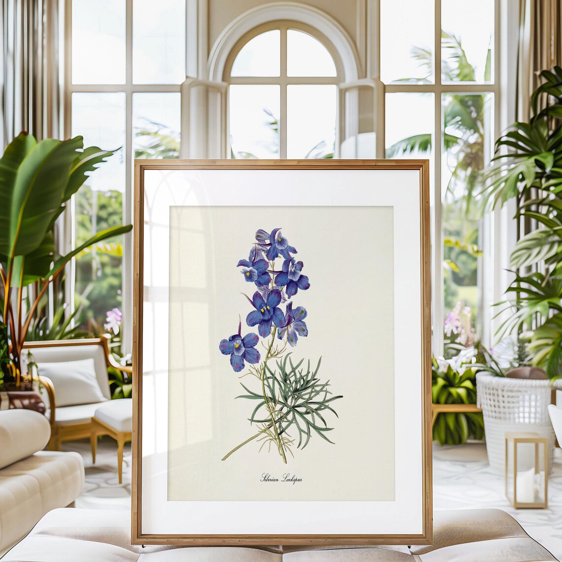 Siberian Larkspur Botanical Art Print, Blue Flower - Image 3