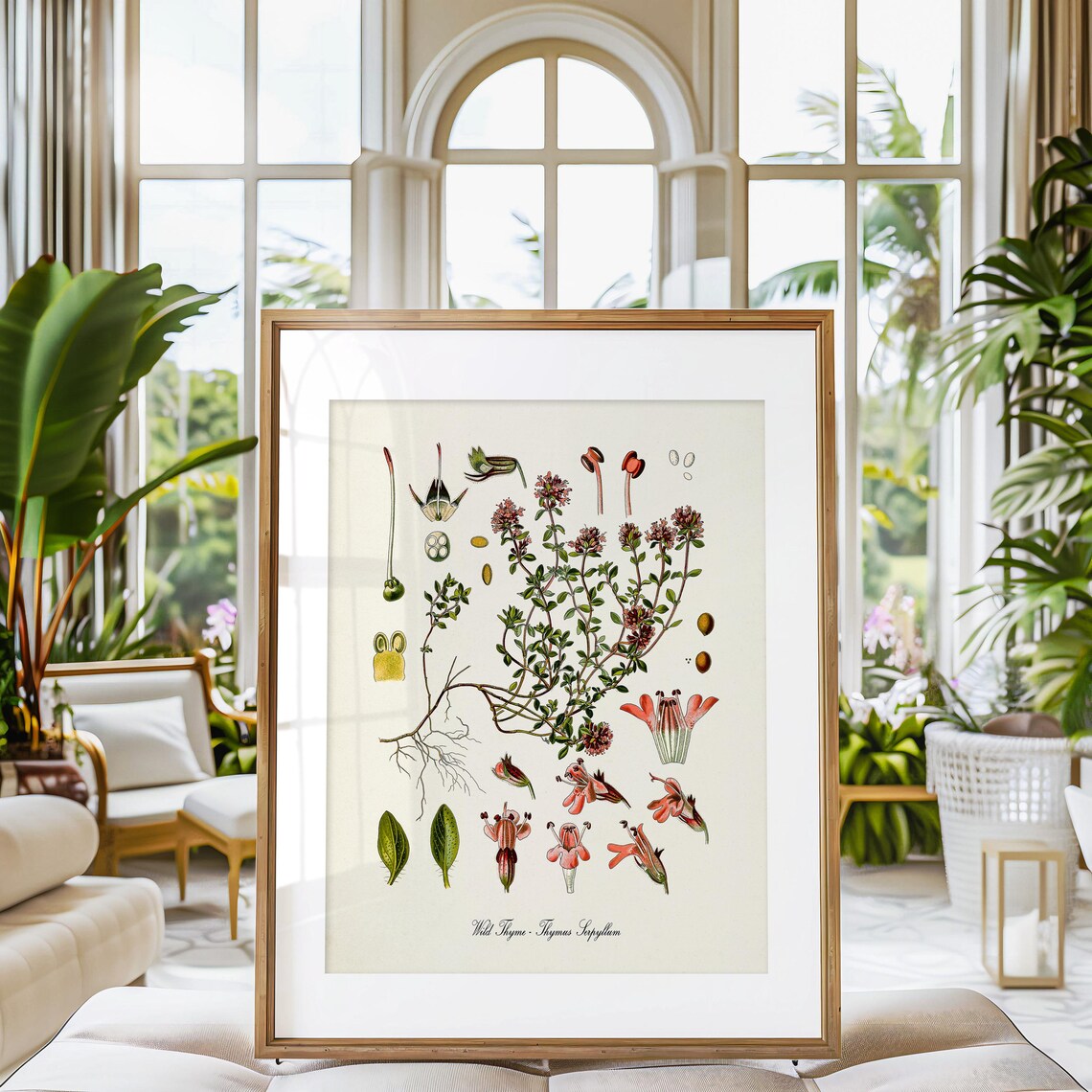 Wild Thyme Botanical Art Print, Kitchen Decor - Image 3