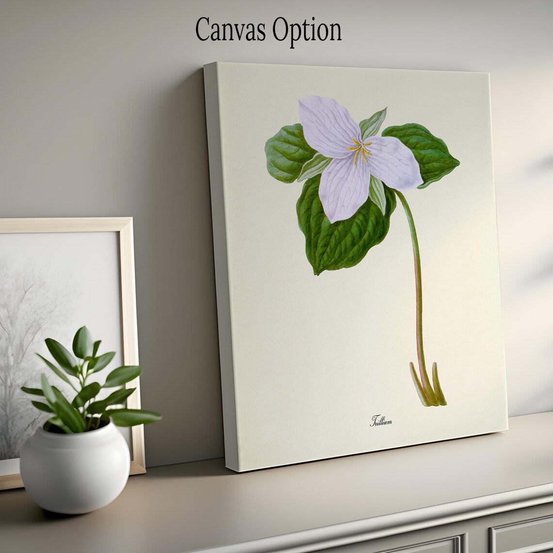 Trillium Flower Botanical Art Print, White Lily - Image 2
