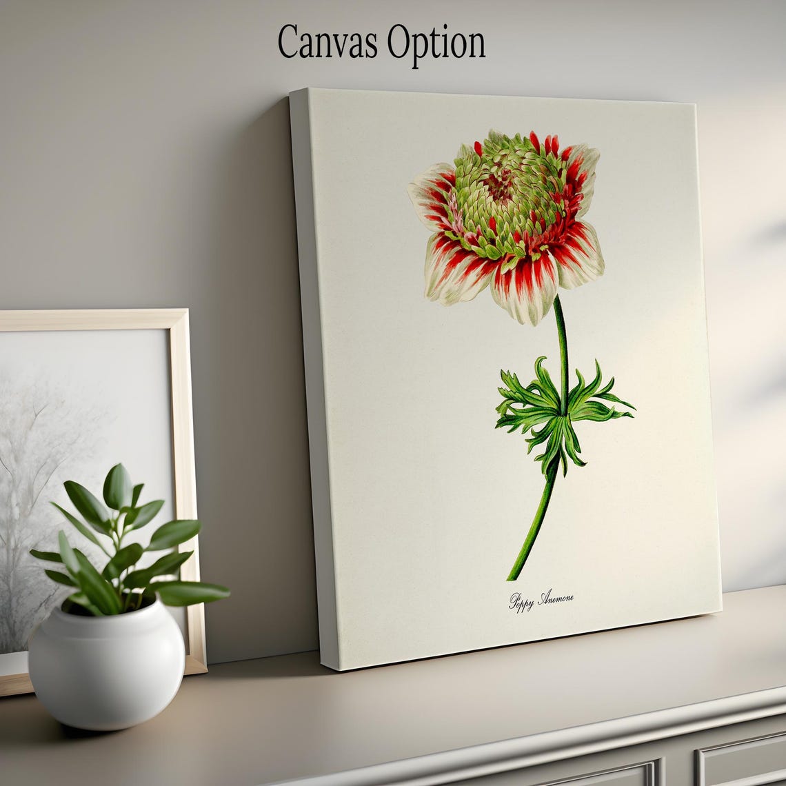 Striped Red and White Poppy Anemone Botanical Flower Classic Poster - Image 2