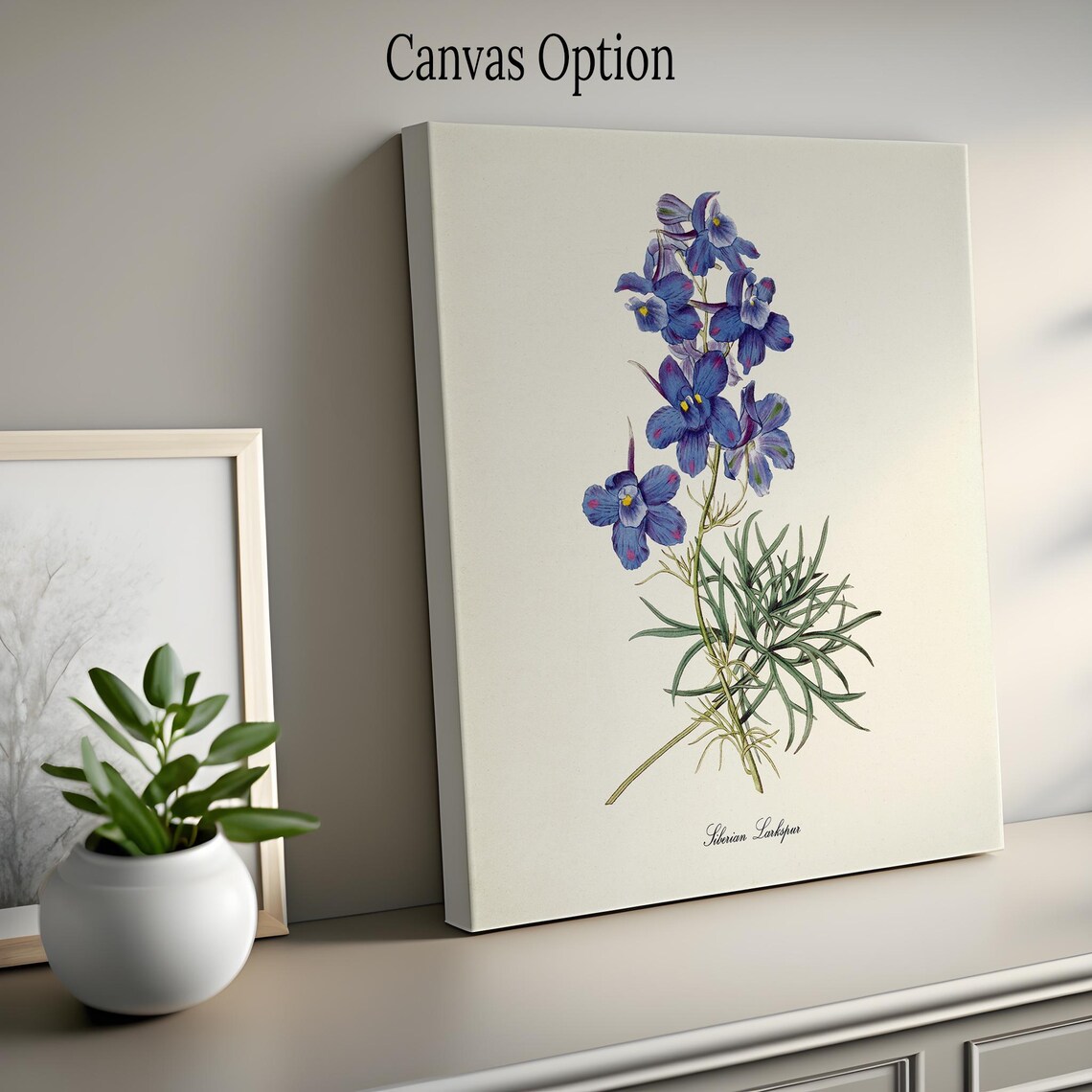 Siberian Larkspur Botanical Art Print, Blue Flower - Image 2