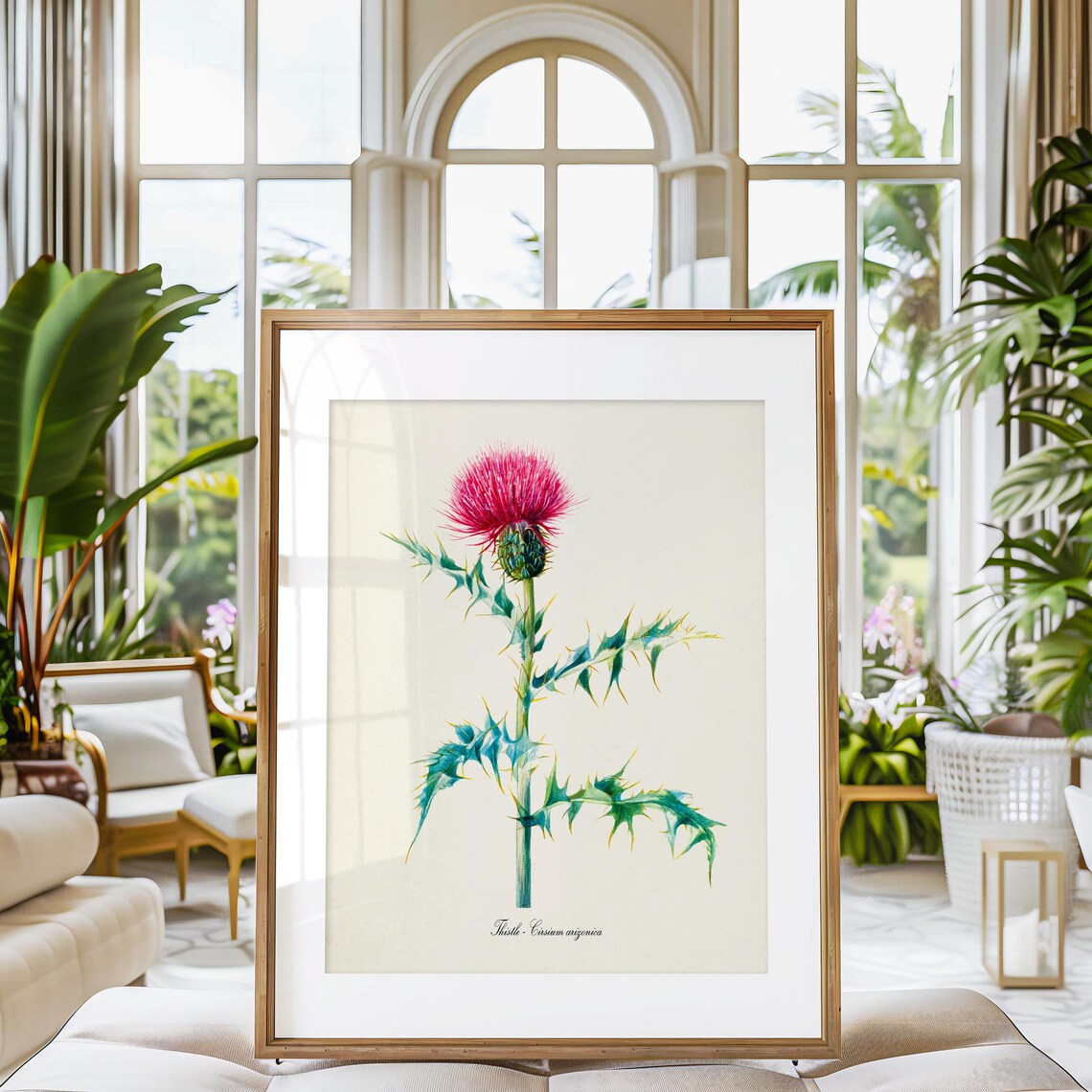 Thistle Flower Botanical Art Print, Cirsium Arizonica - Image 3