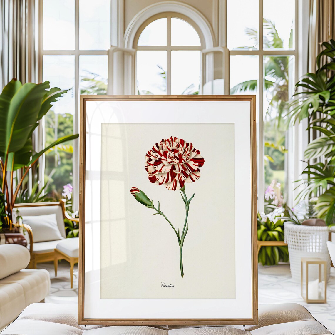Carnation Flower Botanical Art Print, Floral Wall Art - Image 3