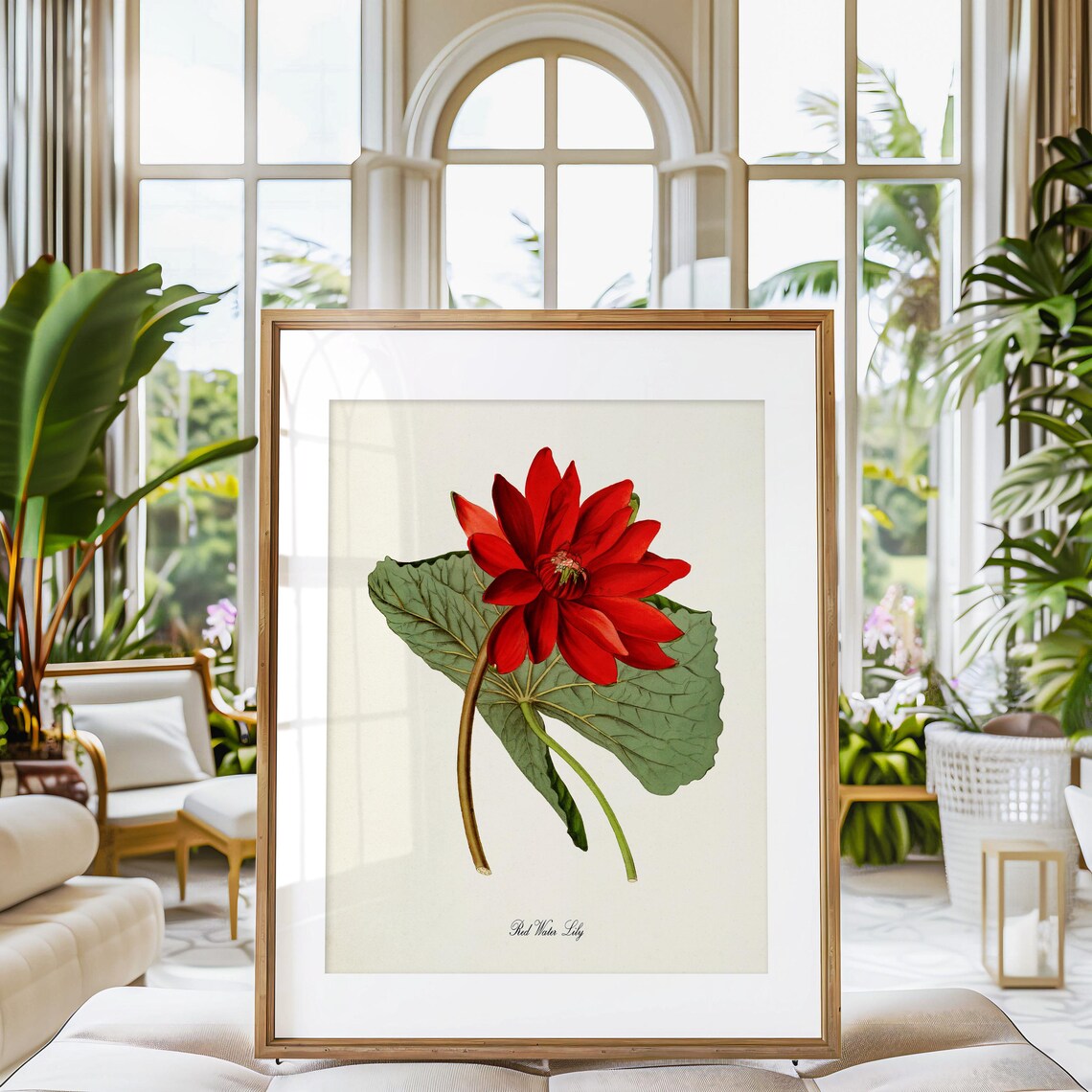Red Water Lily Botanical Art Print, Floral Decor - Image 3