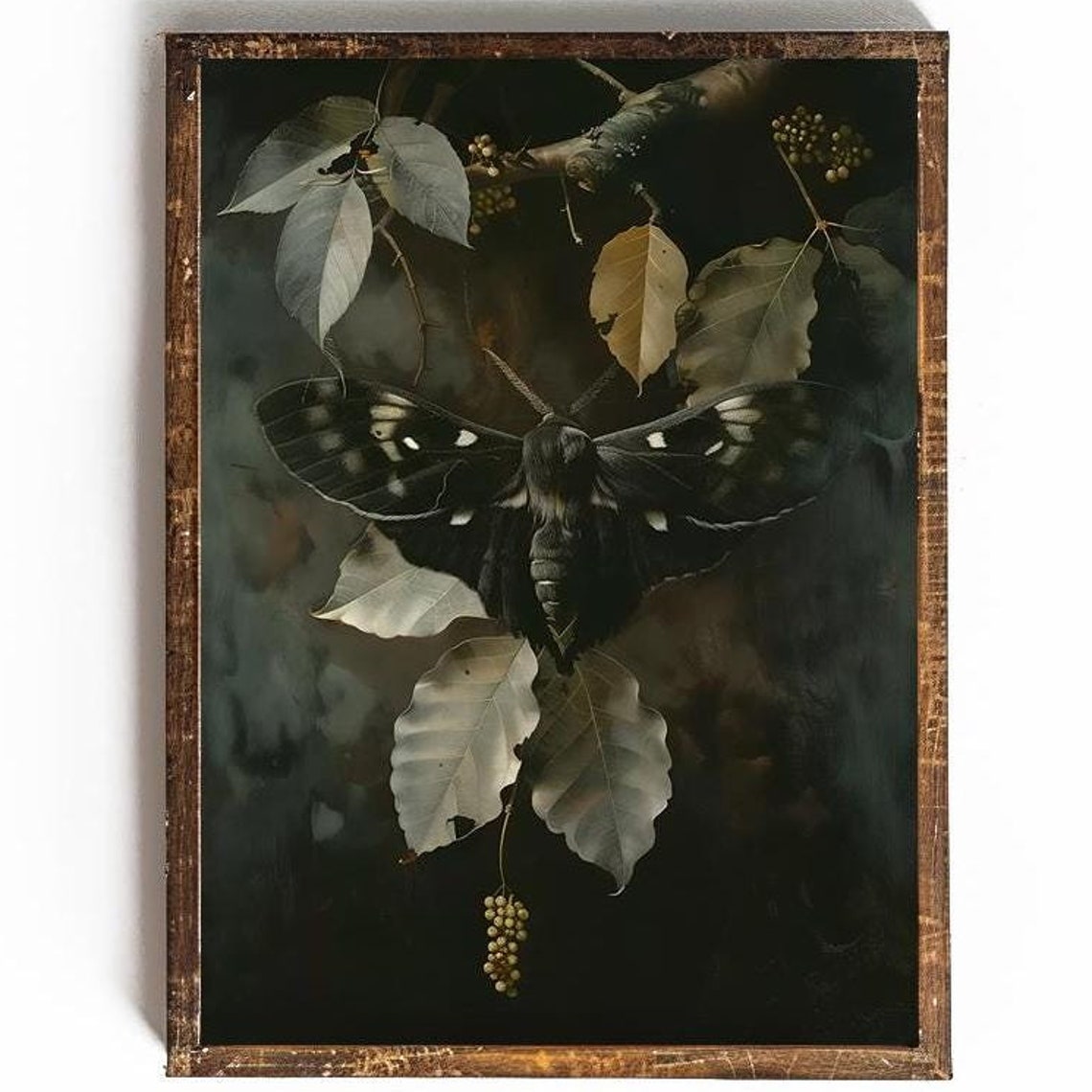 Large Dark Moody Moth On Bare Branches Gothic Dark Academia Poster