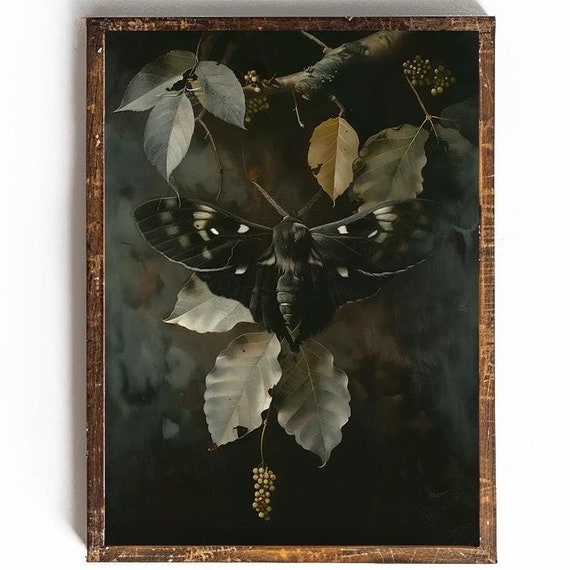 Vintage Moth Dark Academia Wall Art Moody Moth Print Gothic Wall Decor For Dorm Room Wall Art For Reading Nook Decor Witchcore Art
