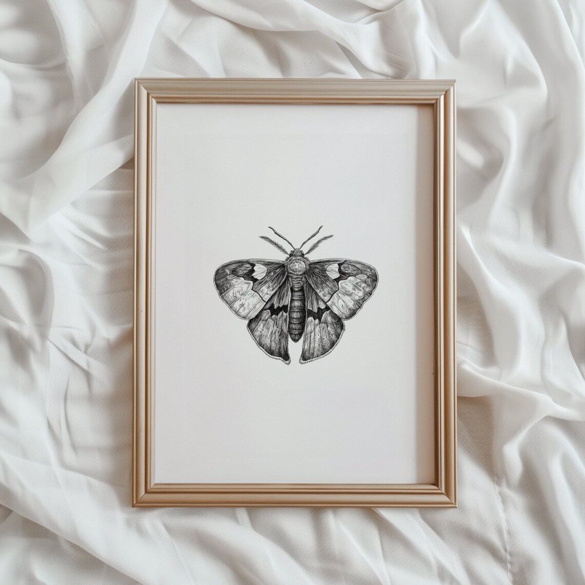 Moth Print, Dark Academia Minimalist Art Print