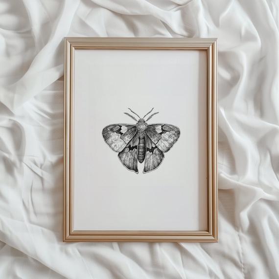 Moth Print, Dark Academia Minimalist Art Print
