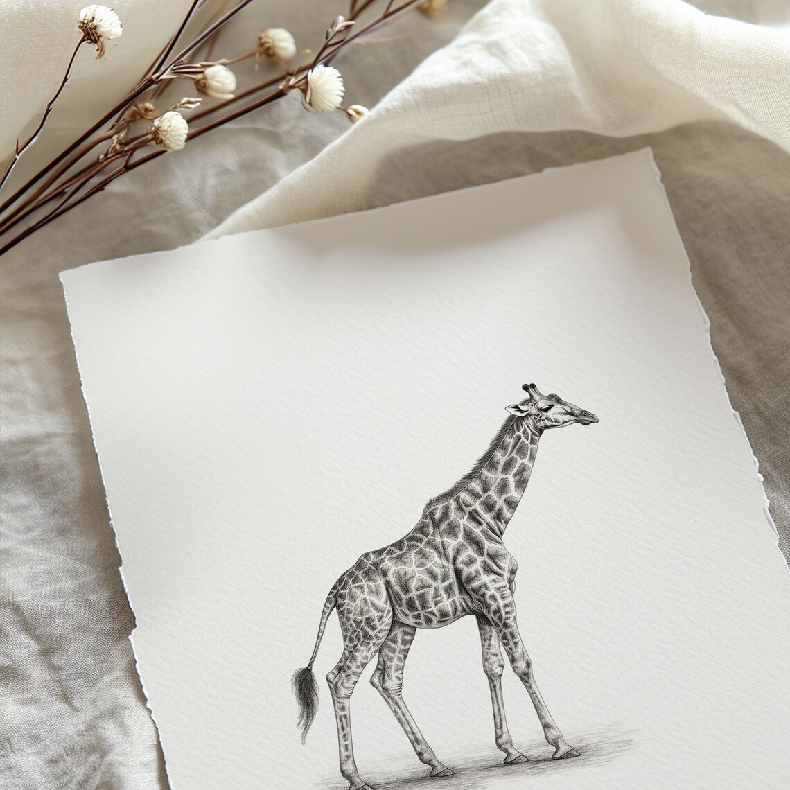 Giraffe Sketch Safari Animal Artwork, Nursery Print - Image 5