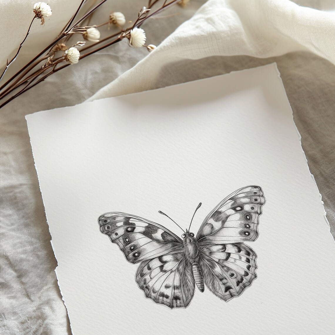 Butterfly Sketch - Minimalist Nature Art - Image 5
