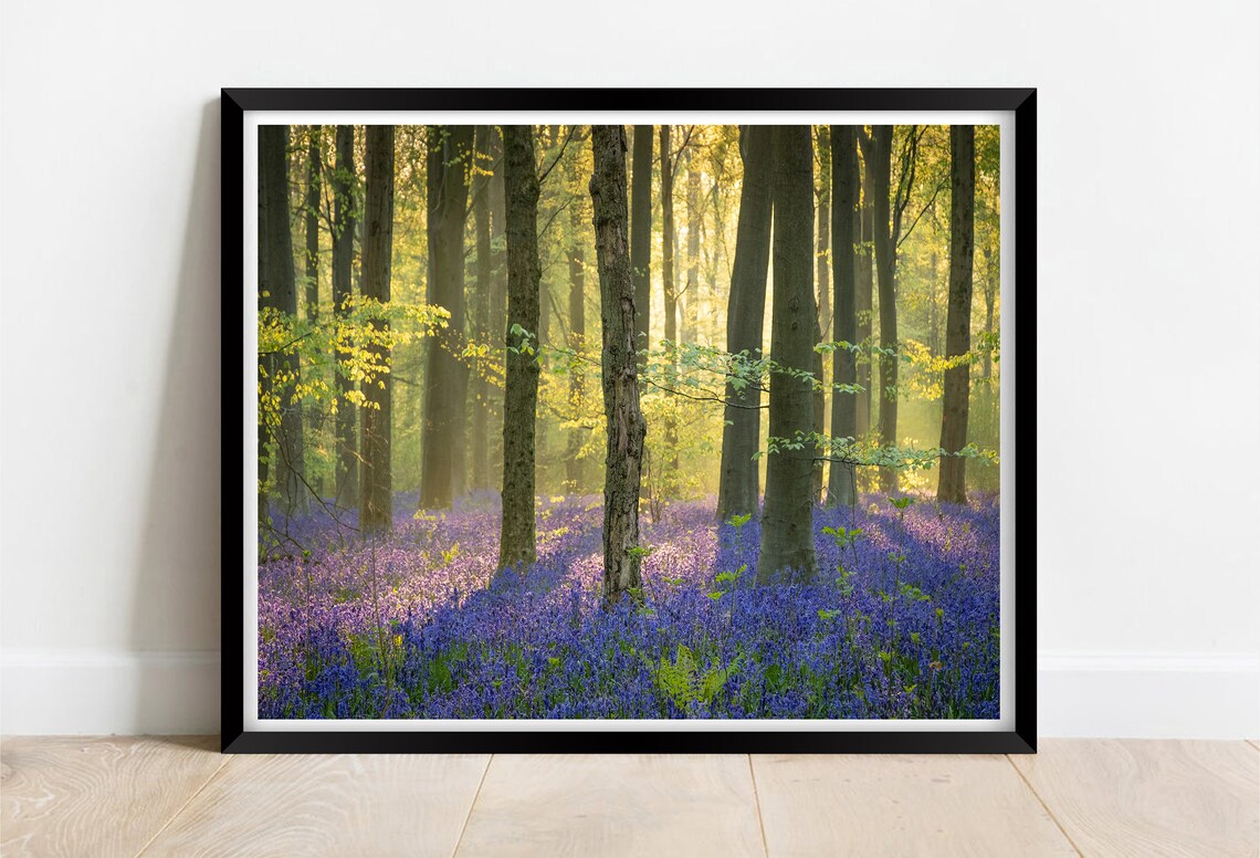Bluebell Flower Forest Wiltshire Landscape Art Print