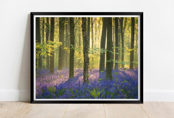 Bluebell Flower Forest Wiltshire Landscape Art Print