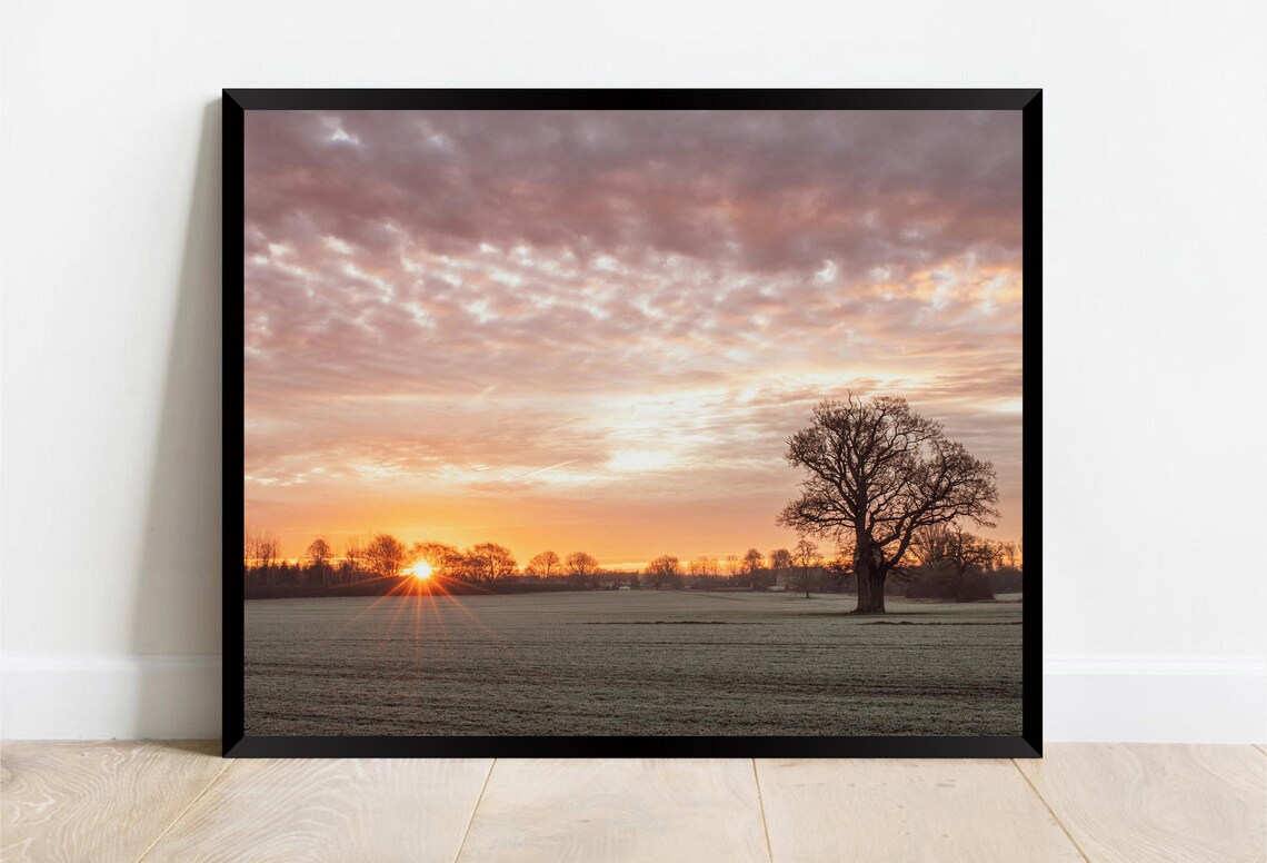 Lone Tree in Frosty Field Sunrise Pink Clouds Morning Poster - Image 2