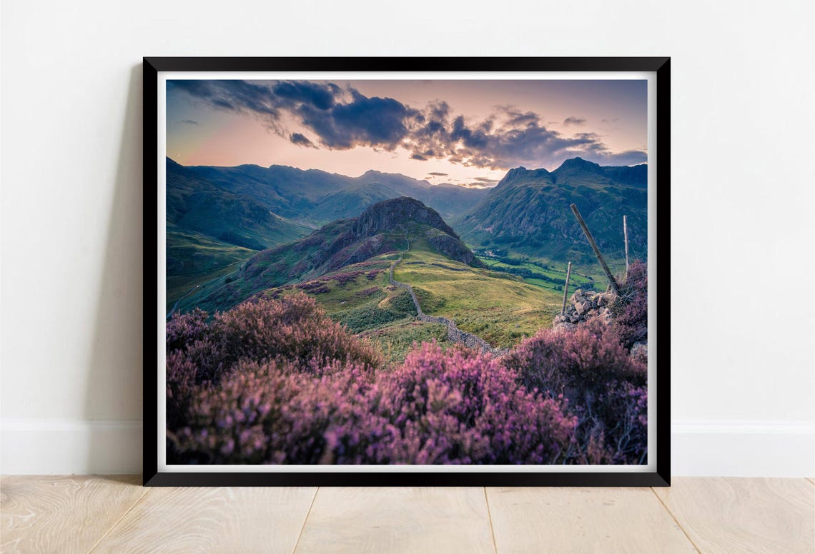 Mountain Ridge at Sunset Purple Heather Moorland Valley Poster