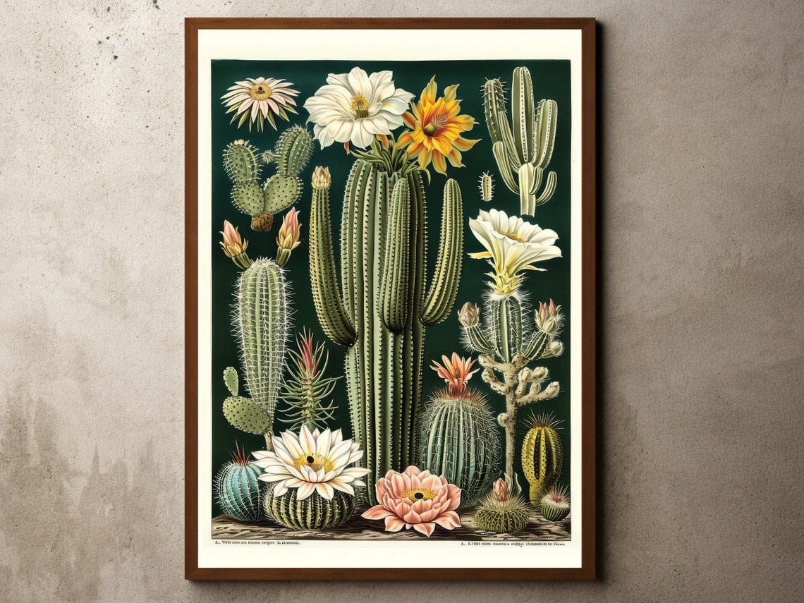 Vintage Cactus Botanical Illustration Chart Dark Green Desert Poster
