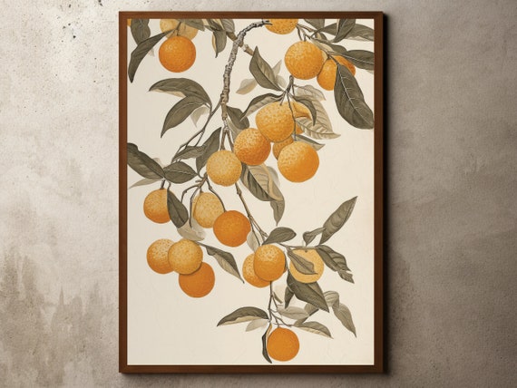 Vintage Orange Fruit Tree Drawing Nature Poster Warm Neutral Decor Floral Wall Art Flowers Still Life Kitchen Botanical Painting