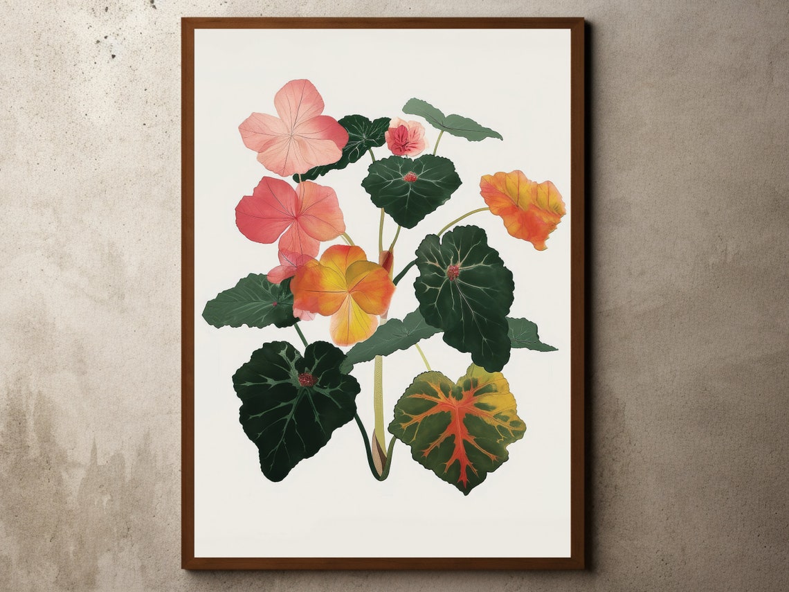 Begonia Leaf Botanical Watercolor Tropical Plant Study Poster