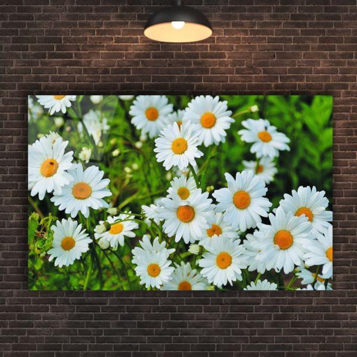 Fresh White Daisy Flower Field in a Green Garden Bloom Wall Art - Image 2