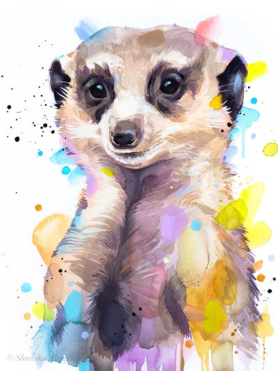 Meerkat Watercolor Animal Portrait Print By Slaveika Aladjova