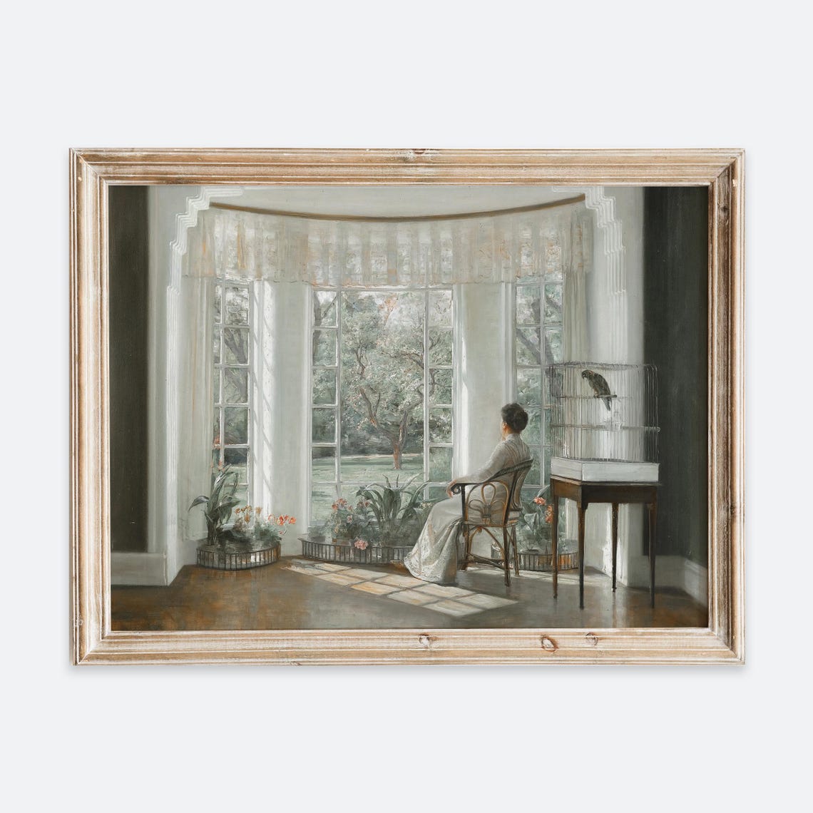 Woman Seated By Sunlit Bay Windows With Parrot Vintage Interior Poster