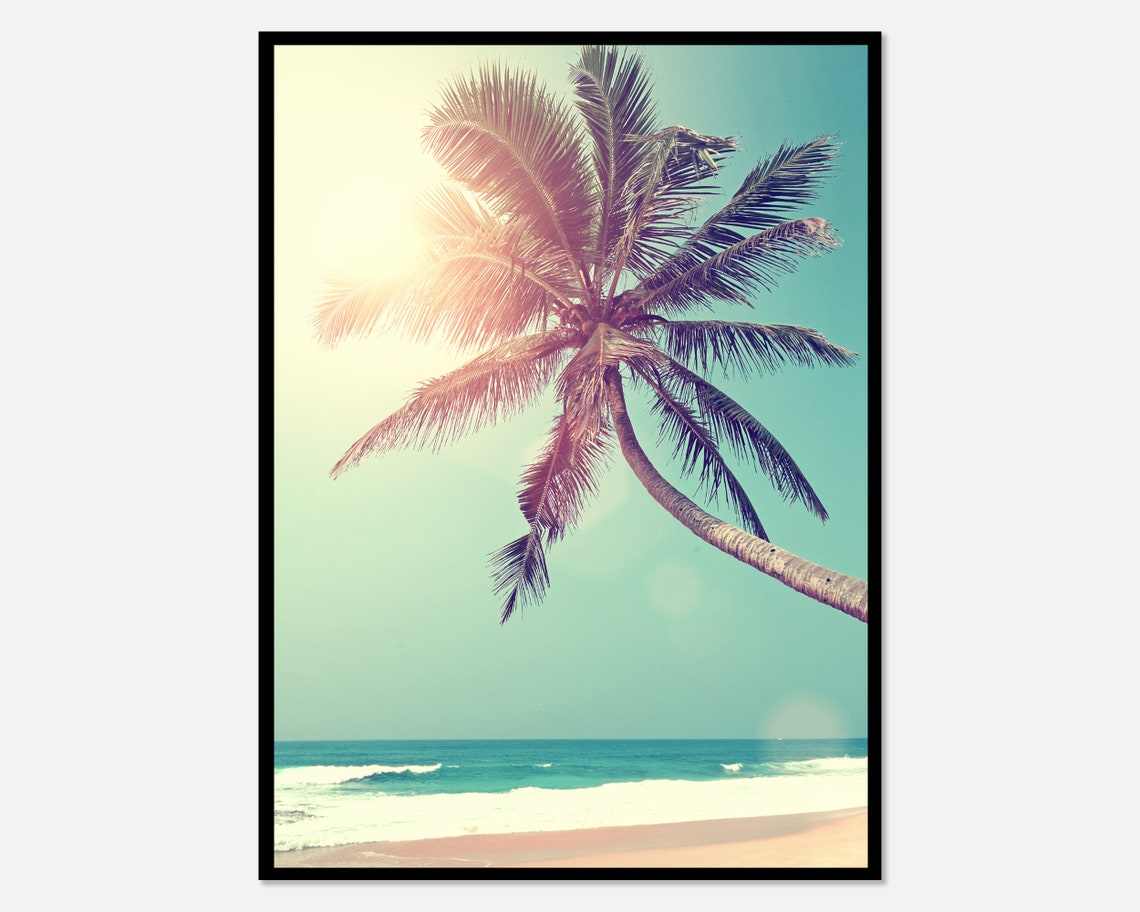 Leaning Palm Tree Over Tropical Beach Sun Flare Photography Poster