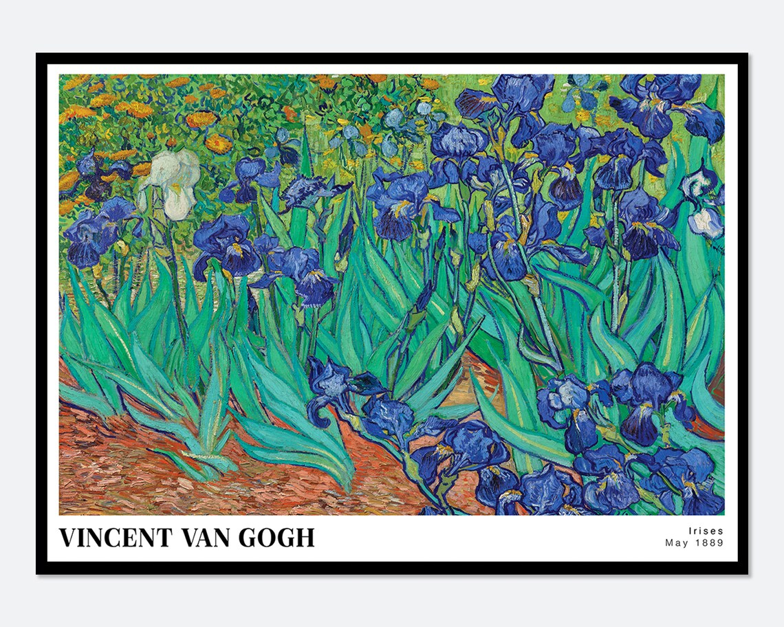 Van Gogh Irises 1889 Art Print, Floral Masterwork