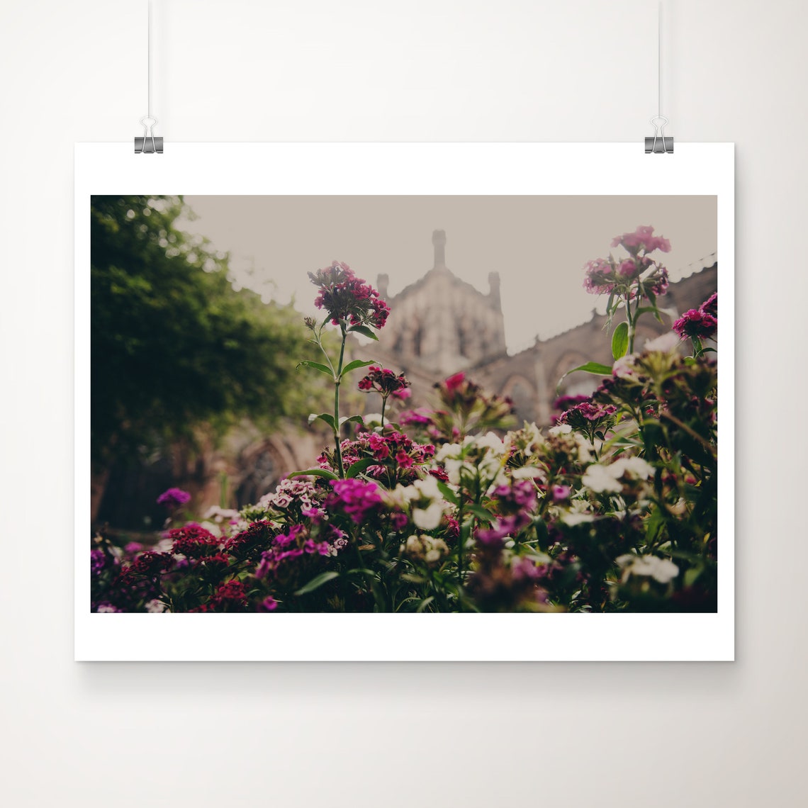 Pink Garden Flowers Before Historic Cathedral Photography Print