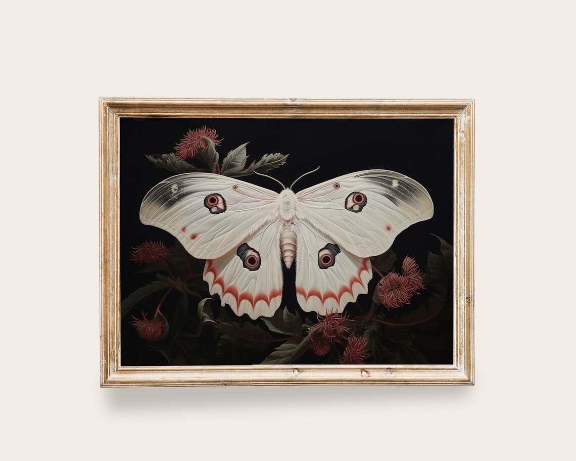 White Moon Moth Victorian Butterfly Art Print