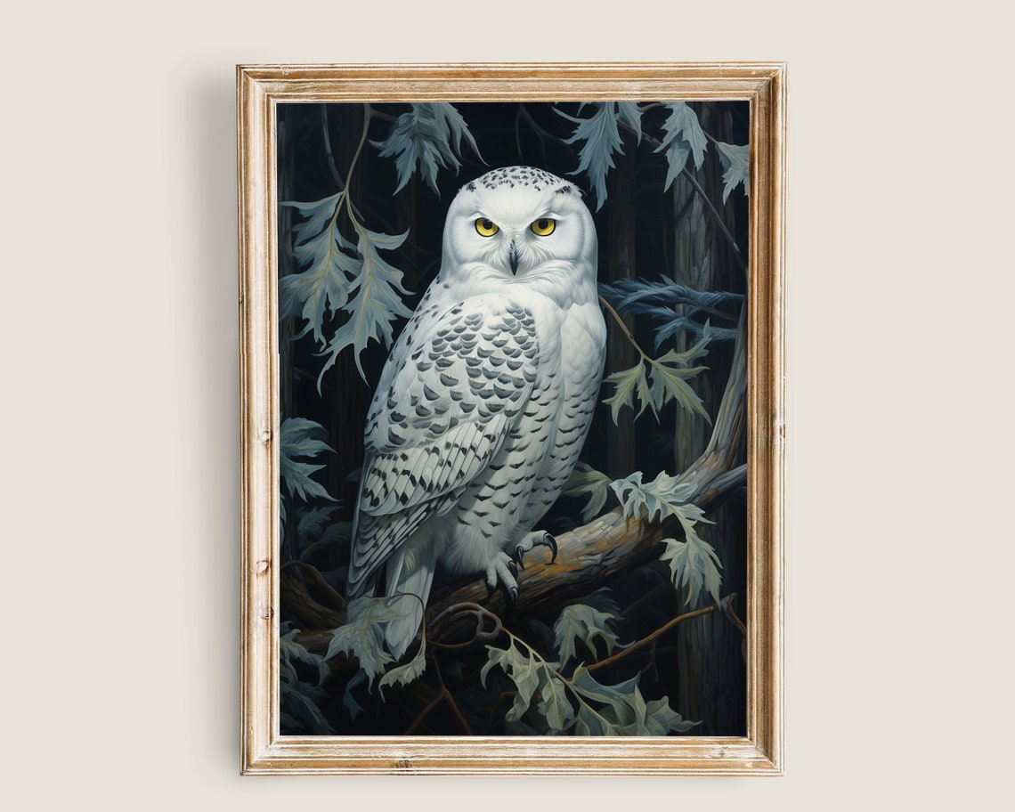Snowy Owl Night Branch Blue Leaves Vintage Wildlife Portrait Print