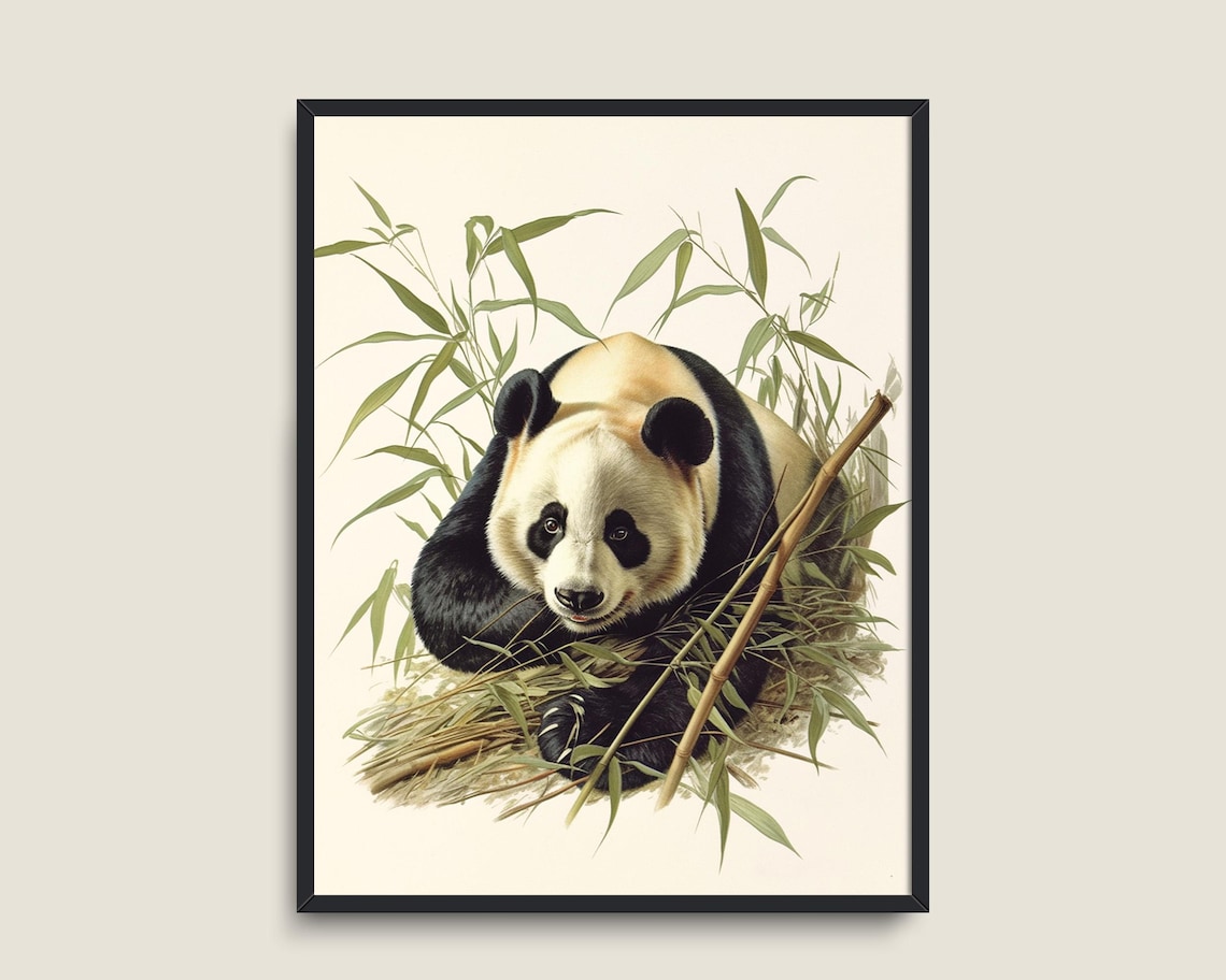 Giant Panda Bamboo Vintage Wildlife Illustration Nursery Wall Art Poster - Image 3