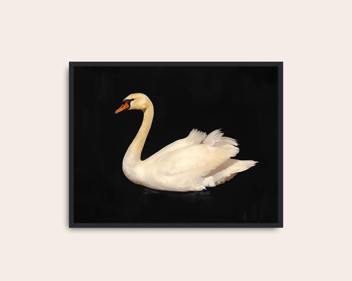 White Swan Portrait Black Background Elegant Vintage Bird Poster - Image 3