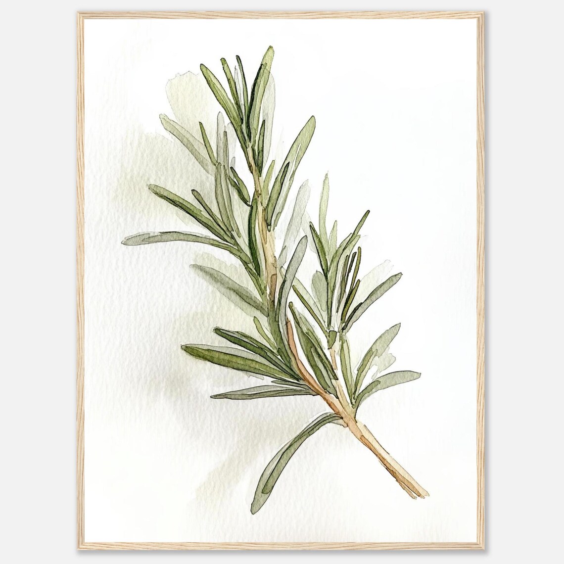 Rosemary Watercolor Herb Botanical Art Print