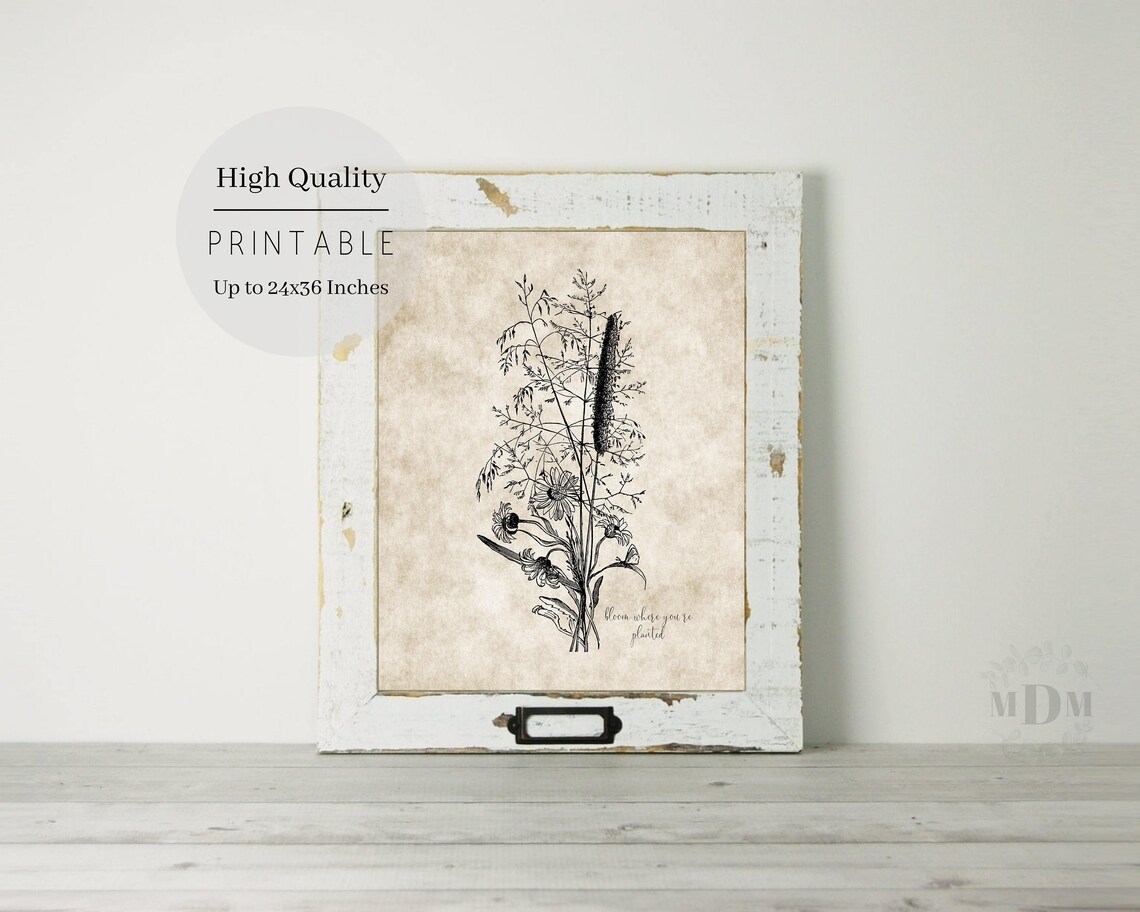 Vintage Wildflower Botanical Illustration Bloom Where Youre Planted Print - Image 3