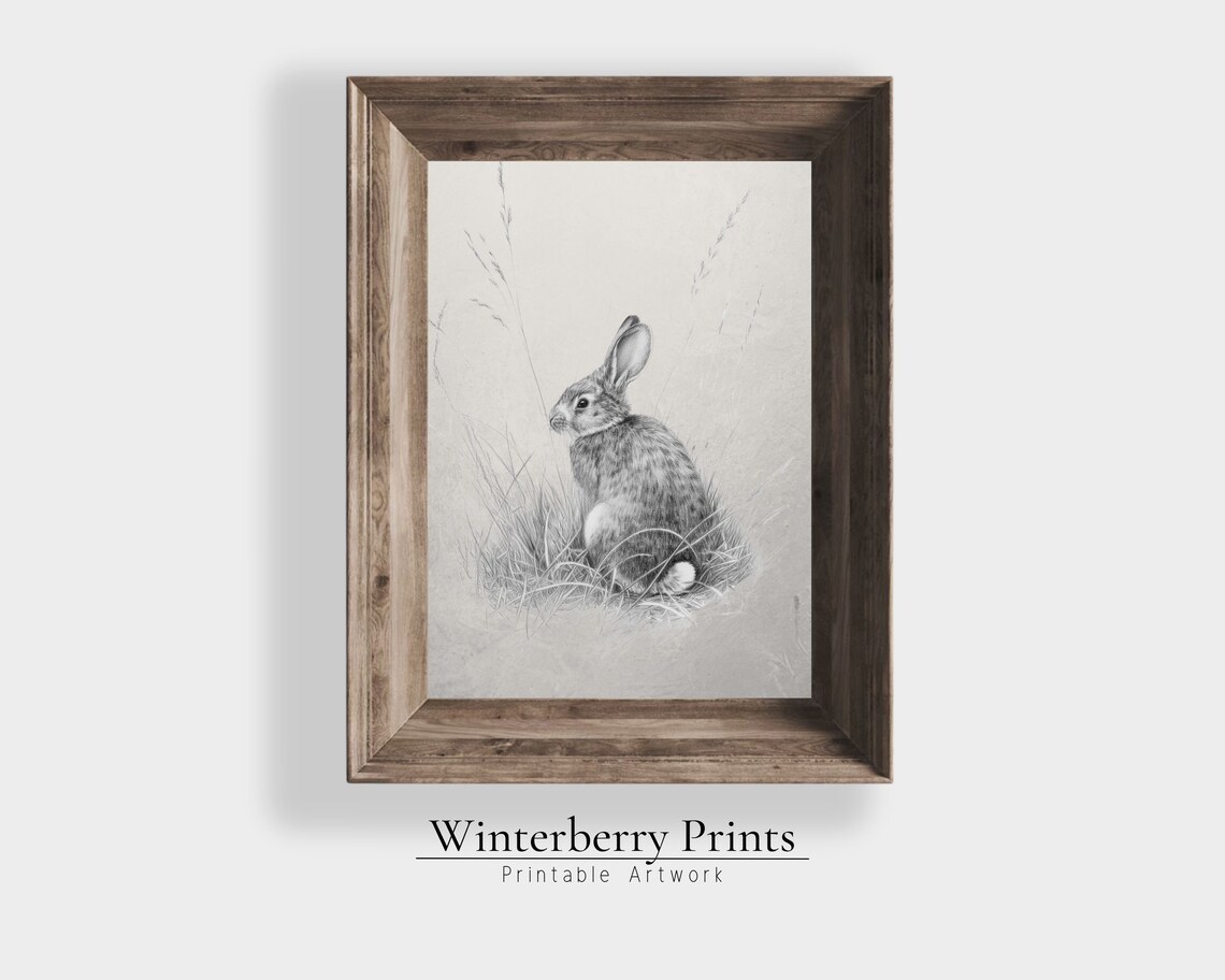 Antique Rabbit Pencil Sketch Meadow Grass Wild Bunny Rustic Farmhouse Print