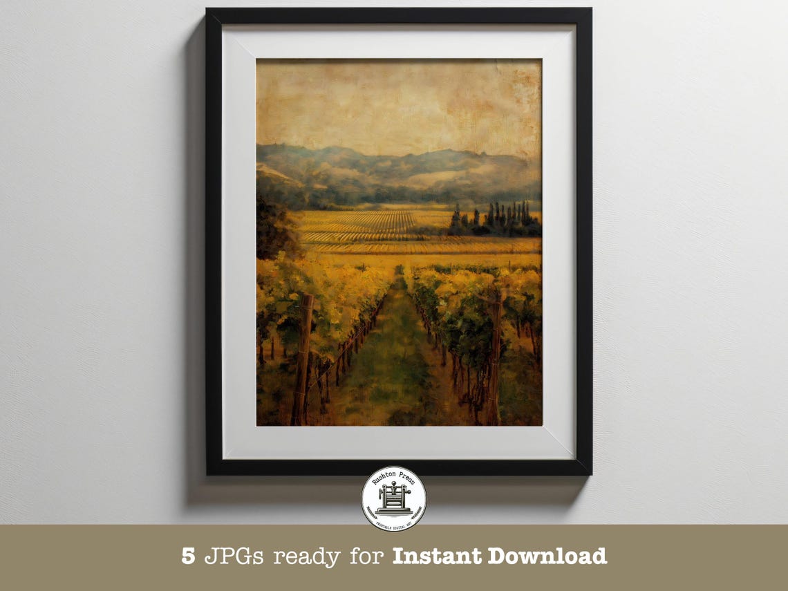 Golden Vineyard Rows Wine Country Sunset Landscape Art Print
