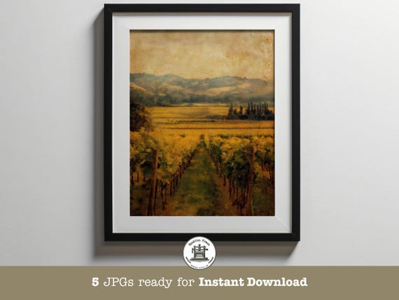 Golden Vineyard Rows Wine Country Sunset Landscape Art Print