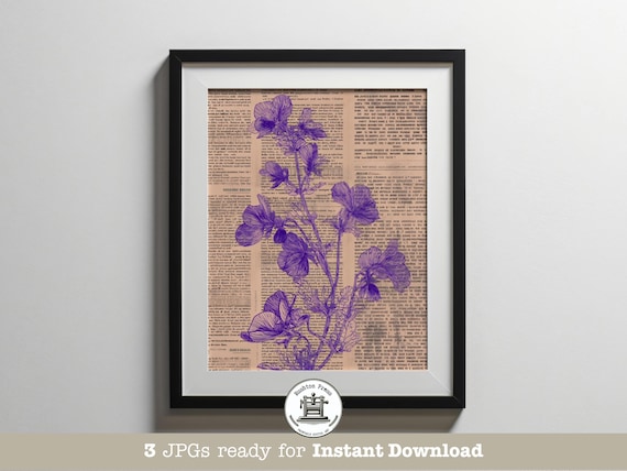 Vintage Purple Pansy Botanical Line Art Antique Dictionary Page Print