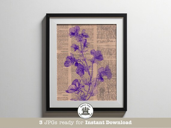 Vintage Purple Pansy Print Botanical Ephemera Art