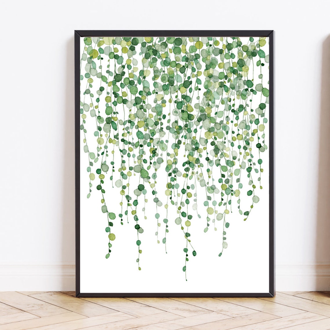 String Of Pearls Hanging Plant Watercolor Botanical Home Poster