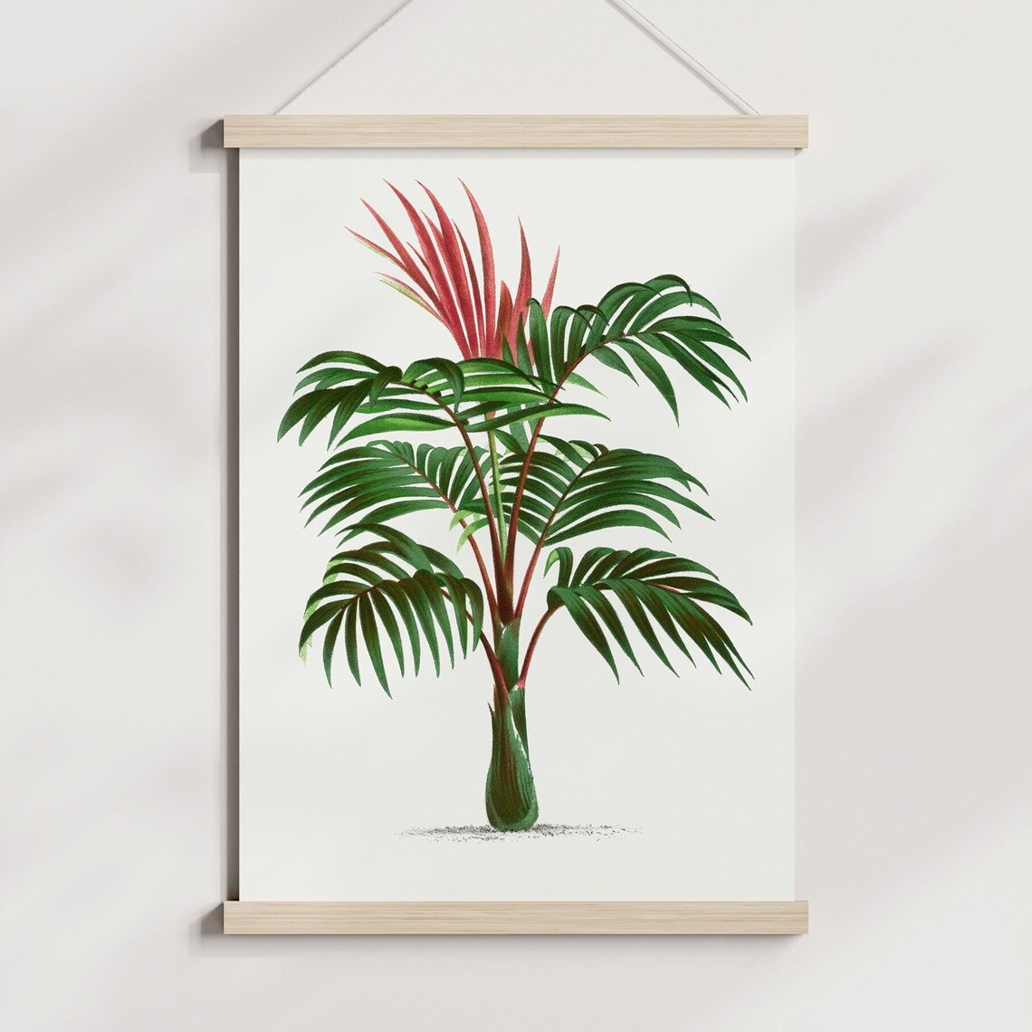 Vintage Palm Botanical Illustration Red Frond Tropical Wall Poster