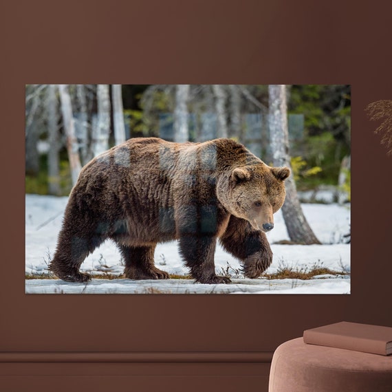 Brown Bear Wall Hanging Animal Decor Glass Wild Decoration Minimalist Art